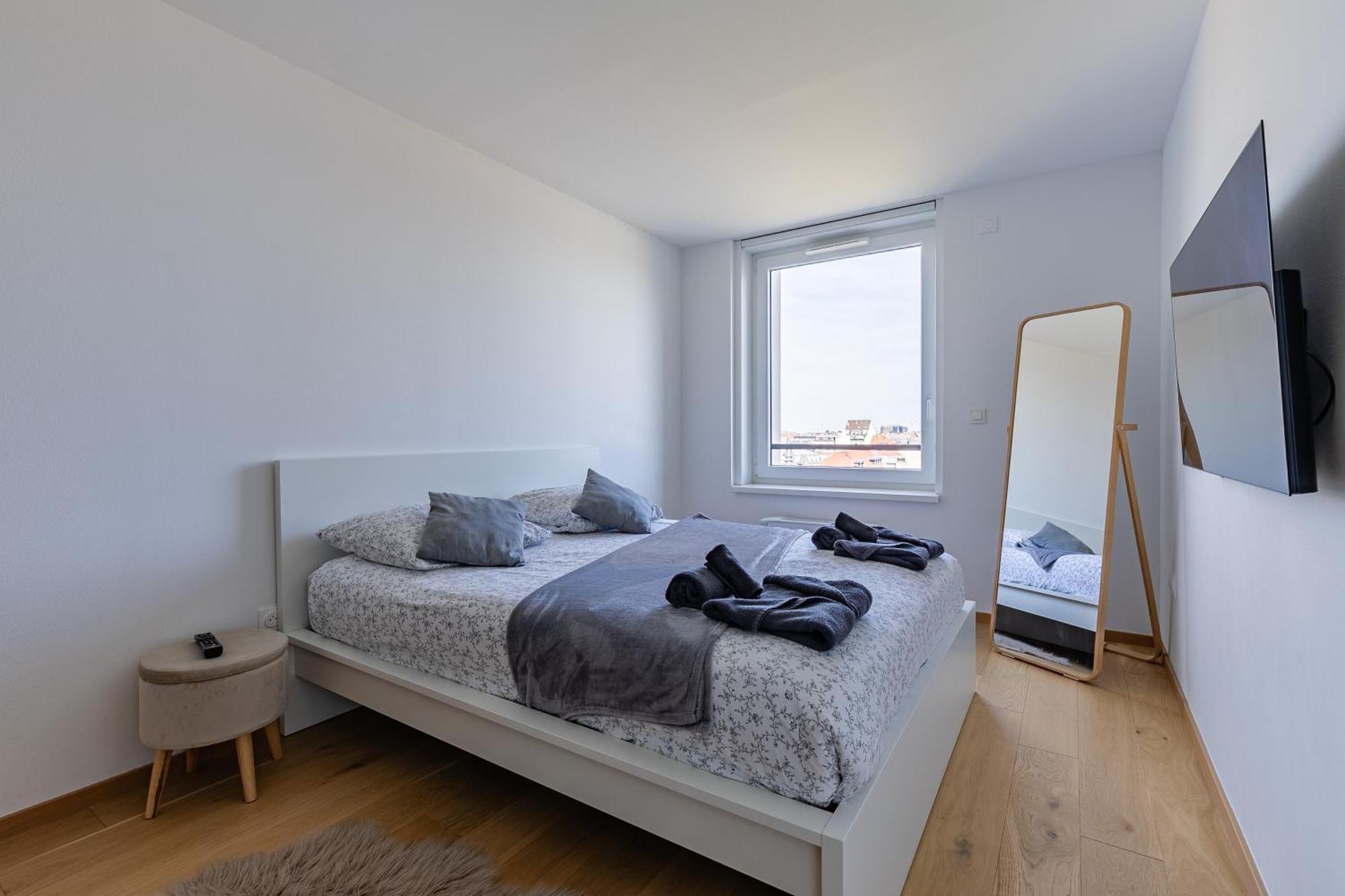 Magnifique 2 Pieces Centre Appartement